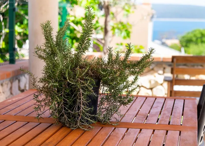 Appartamento Mirna Nerezine